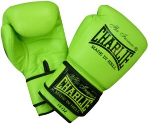 Las Mejores Marcas de Guantes de Boxeo Guía 2024